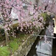 ヒメ日記 2025/04/06 16:45 投稿 せな 脱がされたい人妻 宇都宮店