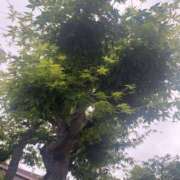 ヒメ日記 2025/05/10 17:23 投稿 せな 脱がされたい人妻 宇都宮店