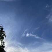 ヒメ日記 2025/07/19 16:31 投稿 せな 脱がされたい人妻 宇都宮店