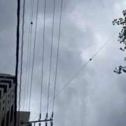 ヒメ日記 2025/08/04 10:11 投稿 せな 脱がされたい人妻 宇都宮店