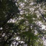 ヒメ日記 2025/10/07 10:14 投稿 せな 脱がされたい人妻 宇都宮店