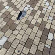 ヒメ日記 2025/10/10 16:17 投稿 せな 脱がされたい人妻 宇都宮店