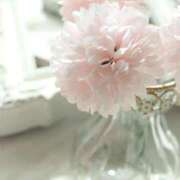 ヒメ日記 2026/03/31 10:23 投稿 かなみ 夢心地