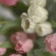 ヒメ日記 2026/04/01 10:59 投稿 かなみ 夢心地