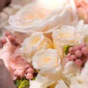 ヒメ日記 2026/04/07 10:22 投稿 かなみ 夢心地