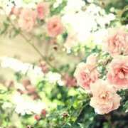 かなみ 出勤しました🌸 夢心地