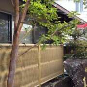 ヒメ日記 2026/04/27 09:51 投稿 かなみ 夢心地