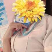 ヒメ日記 2025/04/01 09:43 投稿 まゆ 横浜しこたまクリニック