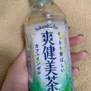 ヒメ日記 2025/04/16 15:13 投稿 まゆ 横浜しこたまクリニック