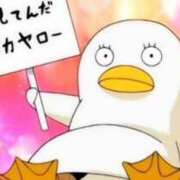 ヒメ日記 2025/08/14 13:43 投稿 まゆ 横浜しこたまクリニック