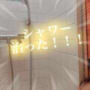 ヒメ日記 2026/04/29 11:43 投稿 まゆ 横浜しこたまクリニック