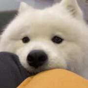 ヒメ日記 2026/02/16 16:20 投稿 ひめな if(イフ) 中村店