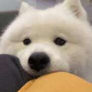 ヒメ日記 2026/02/28 22:45 投稿 ひめな if(イフ) 中村店