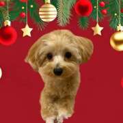 ヒメ日記 2024/12/17 11:13 投稿 もも if(イフ) 中村店