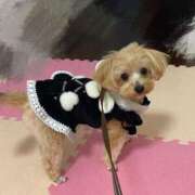 ヒメ日記 2024/12/31 11:03 投稿 もも if(イフ) 中村店