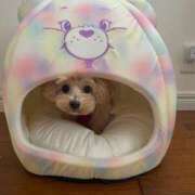 ヒメ日記 2025/01/01 21:43 投稿 もも if(イフ) 中村店