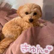 ヒメ日記 2025/01/29 14:53 投稿 もも if(イフ) 中村店