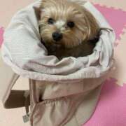 ヒメ日記 2025/02/20 10:33 投稿 もも if(イフ) 中村店