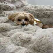 ヒメ日記 2025/03/17 10:53 投稿 もも if(イフ) 中村店