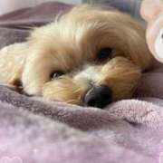 ヒメ日記 2025/03/22 09:23 投稿 もも if(イフ) 中村店