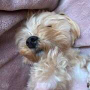 ヒメ日記 2025/04/10 14:20 投稿 もも if(イフ) 中村店