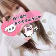 ヒメ日記 2025/11/22 09:11 投稿 まなか チューリップ福井本館