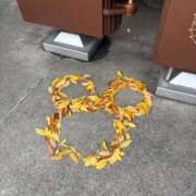 ヒメ日記 2026/04/03 08:41 投稿 ありさ 白いぽっちゃりさん