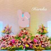 ヒメ日記 2025/03/14 15:30 投稿 遥(はるか) 可憐な妻たち 太田店