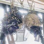 ヒメ日記 2025/03/19 10:23 投稿 遥(はるか) 可憐な妻たち 太田店