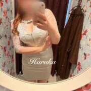 ヒメ日記 2025/03/21 17:22 投稿 遥(はるか) 可憐な妻たち 太田店