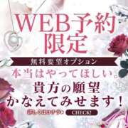 ヒメ日記 2025/04/01 11:45 投稿 遥(はるか) 可憐な妻たち 太田店
