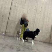 ヒメ日記 2025/04/05 07:51 投稿 遥(はるか) 可憐な妻たち 太田店