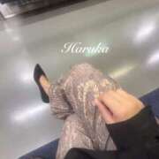 ヒメ日記 2025/04/06 22:47 投稿 遥(はるか) 可憐な妻たち 太田店