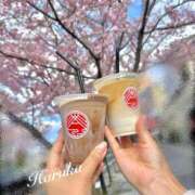 ヒメ日記 2025/04/16 16:32 投稿 遥(はるか) 可憐な妻たち 太田店