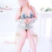 ヒメ日記 2025/04/19 08:42 投稿 遥(はるか) 可憐な妻たち 太田店