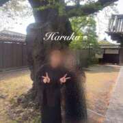 ヒメ日記 2025/04/19 21:49 投稿 遥(はるか) 可憐な妻たち 太田店