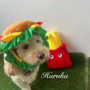 ヒメ日記 2025/04/25 21:17 投稿 遥(はるか) 可憐な妻たち 太田店