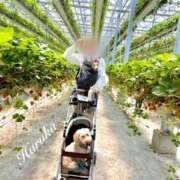 ヒメ日記 2025/04/29 18:50 投稿 遥(はるか) 可憐な妻たち 太田店