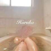 ヒメ日記 2025/06/06 13:30 投稿 遥(はるか) 可憐な妻たち 太田店