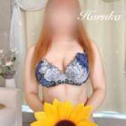 ヒメ日記 2025/07/29 16:34 投稿 遥(はるか) 可憐な妻たち 太田店