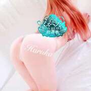 ヒメ日記 2025/09/17 13:32 投稿 遥(はるか) 可憐な妻たち 太田店