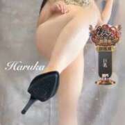 ヒメ日記 2025/10/01 11:46 投稿 遥(はるか) 可憐な妻たち 太田店