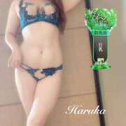 ヒメ日記 2025/10/25 08:44 投稿 遥(はるか) 可憐な妻たち 太田店