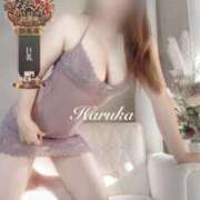 ヒメ日記 2025/10/30 14:35 投稿 遥(はるか) 可憐な妻たち 太田店