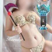 ヒメ日記 2025/11/01 15:41 投稿 遥(はるか) 可憐な妻たち 太田店