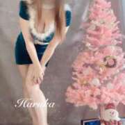 ヒメ日記 2025/12/11 13:45 投稿 遥(はるか) 可憐な妻たち 太田店