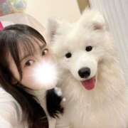 ヒメ日記 2025/01/26 11:10 投稿 牧村優里 ハールブルク