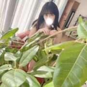 ヒメ日記 2025/02/15 07:30 投稿 牧村優里 ハールブルク