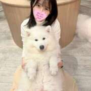 ヒメ日記 2025/02/21 19:30 投稿 牧村優里 ハールブルク