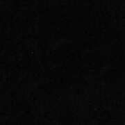 ヒメ日記 2025/04/25 10:16 投稿 牧村優里 ハールブルク